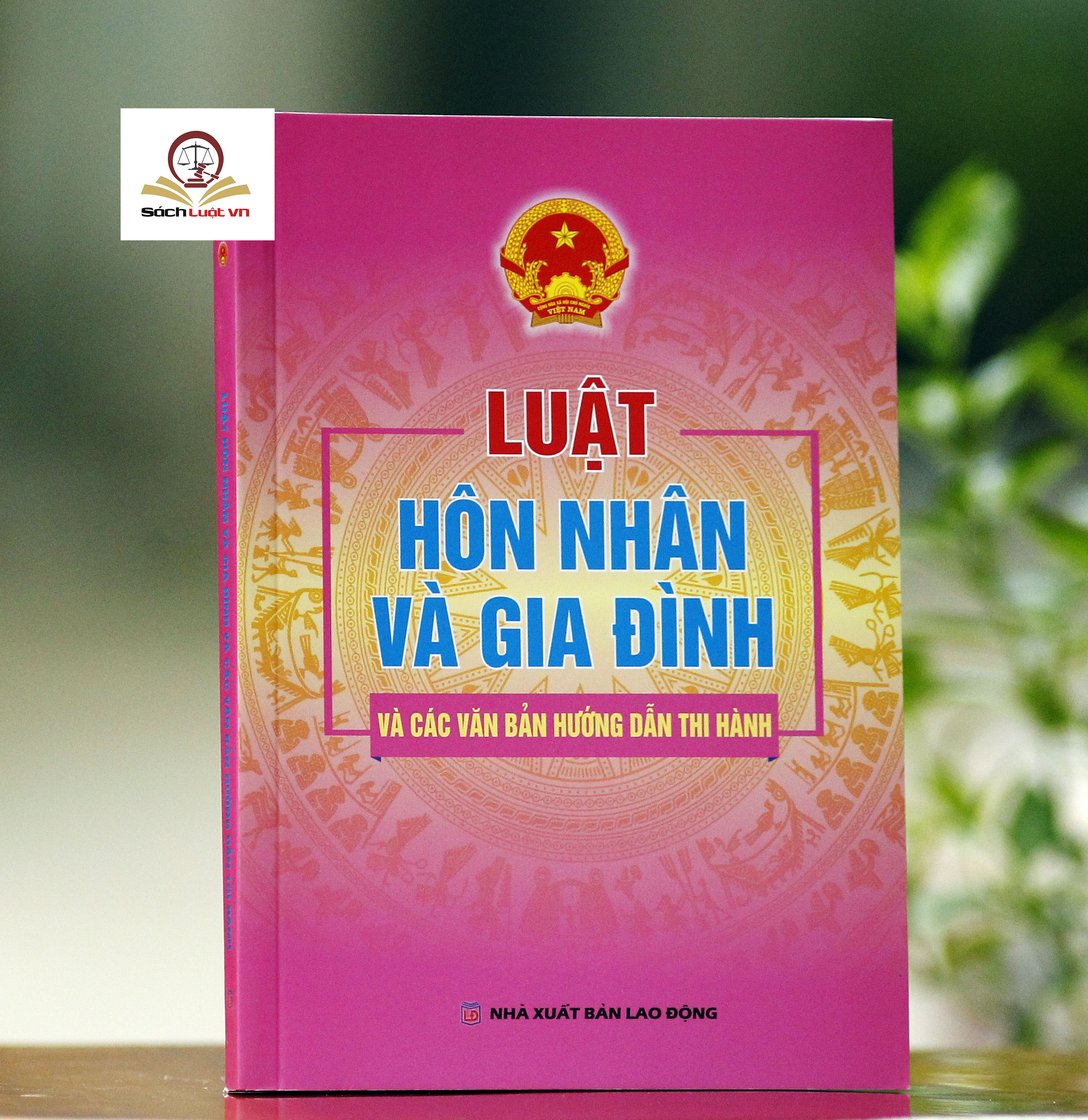 Luật hôn nhân và gia đinh (và các văn bản hướng dẫn thi hành)