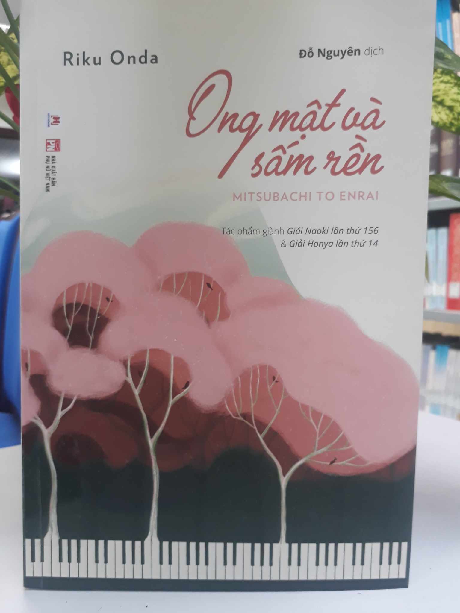 Ong mật và sấm rền