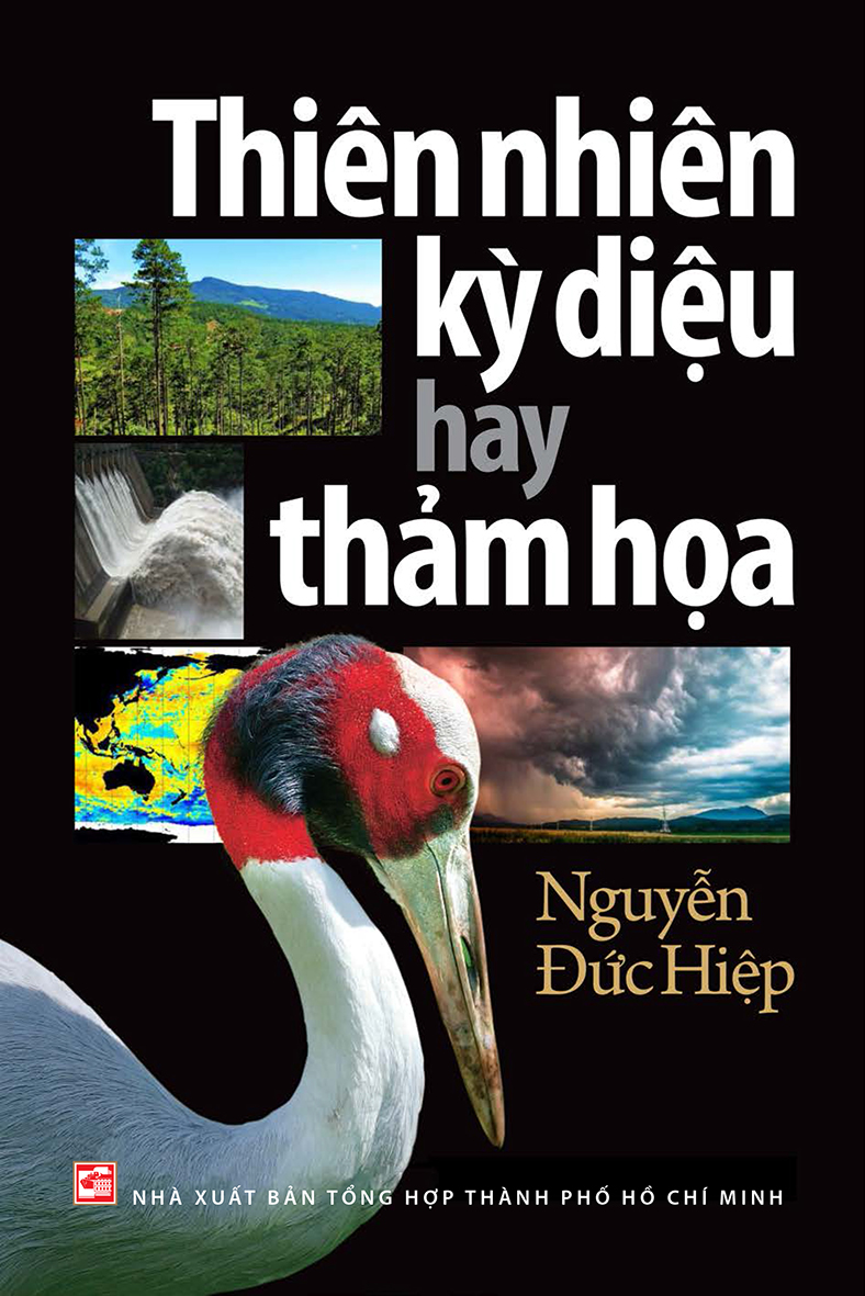 Thiên nhiên kỳ diệu hay thảm họa